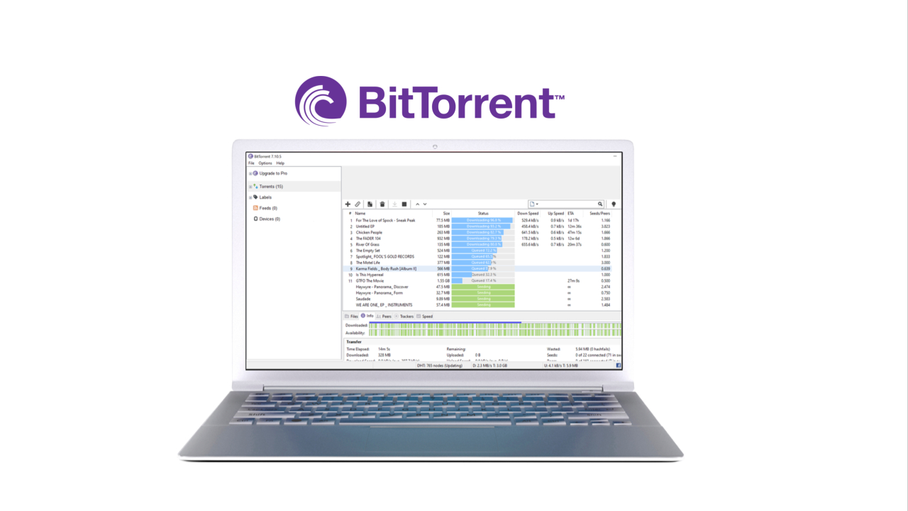 BitTorrent Client